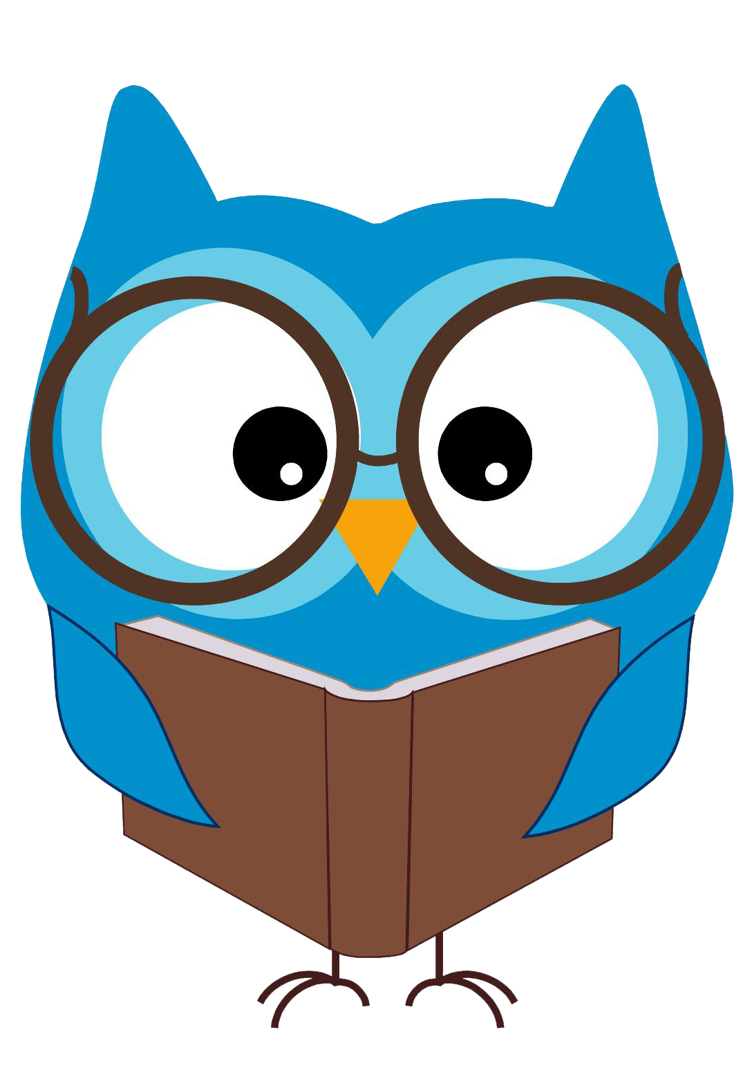 Smart owl